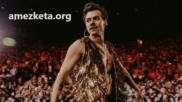 Makna Lagu “Late Night Talking” – Harry Styles