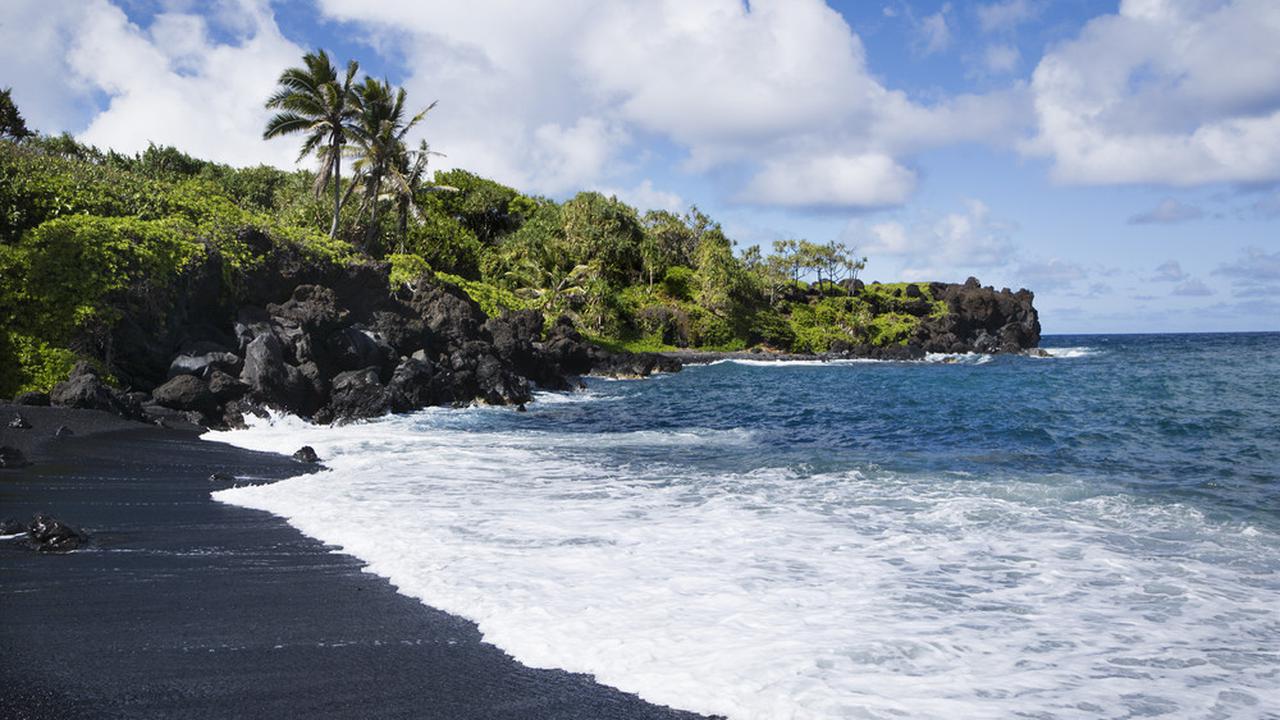 dokter liveoakdentalgroup, keunikan liveoakdentalgroup, program liveoakdentalgroup, kesehatan liveoakdentalgroup, jadwal liveoakdentalgroup